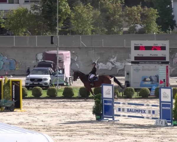 Reitturnier Basel 2023