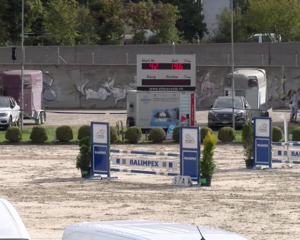Reitturnier Basel 2023
