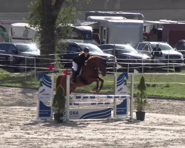 Reitturnier Basel 2023