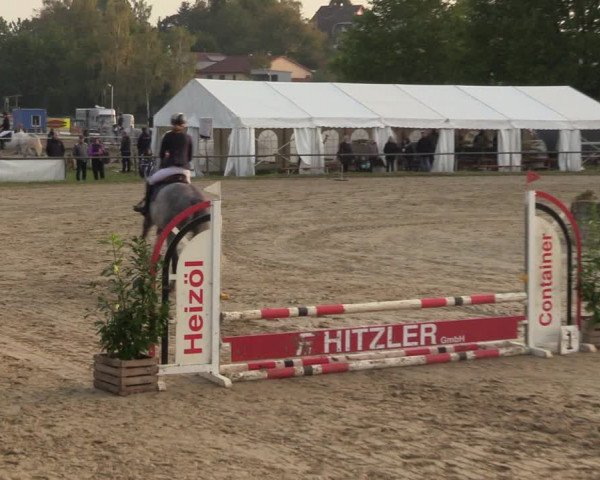 Reitturnier Heiligenwald 2023