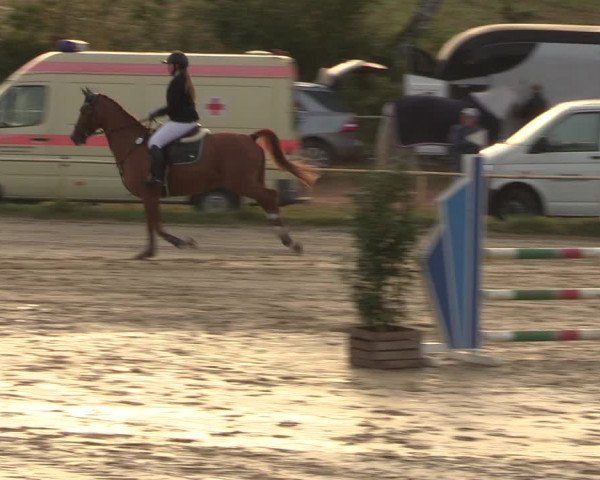 Reitturnier Heiligenwald 2023