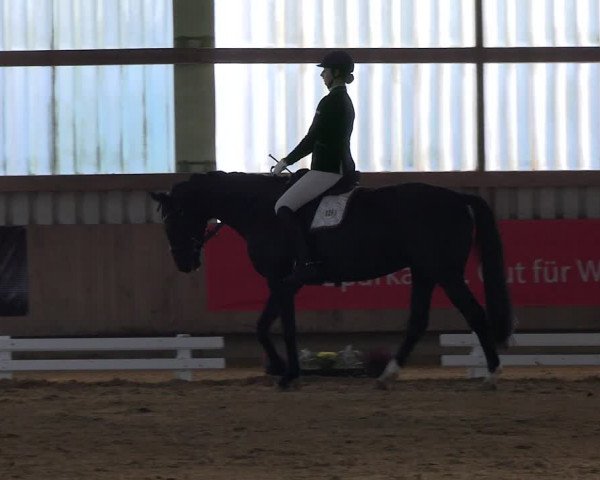 Reitturnier Werdohl-Rentrop 2023