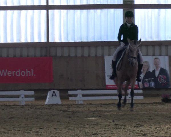 Reitturnier Werdohl-Rentrop 2023