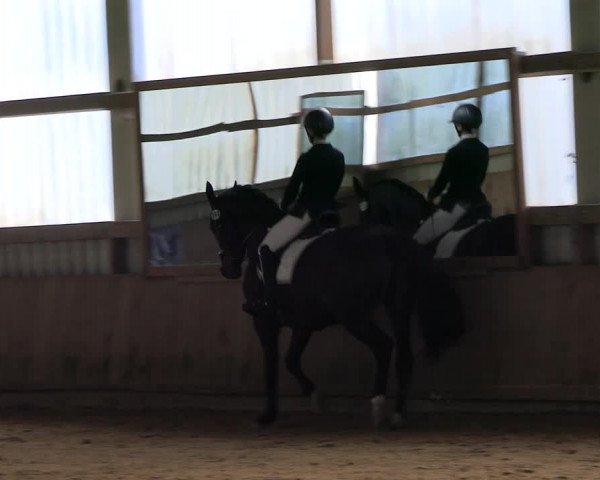 Reitturnier Werdohl-Rentrop 2023