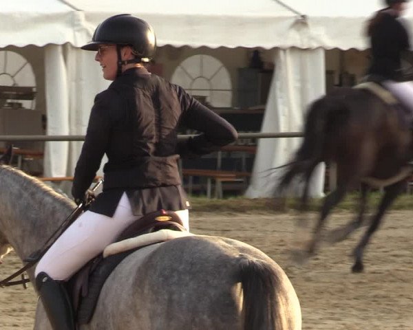 Reitturnier Heiligenwald 2023