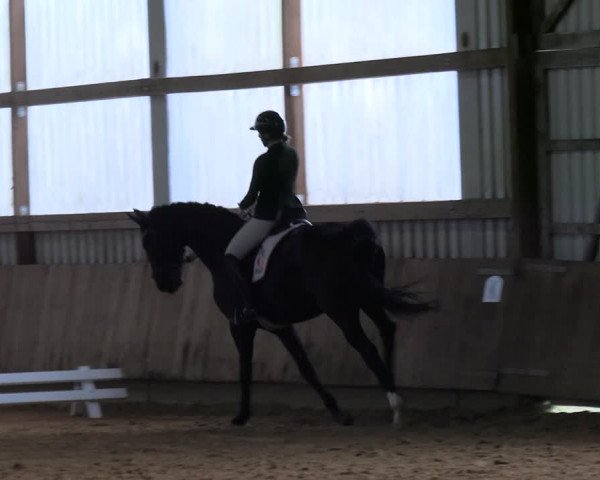 Reitturnier Werdohl-Rentrop 2023