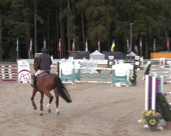 Reitturnier Ranshofen - Braunau am Inn 2023