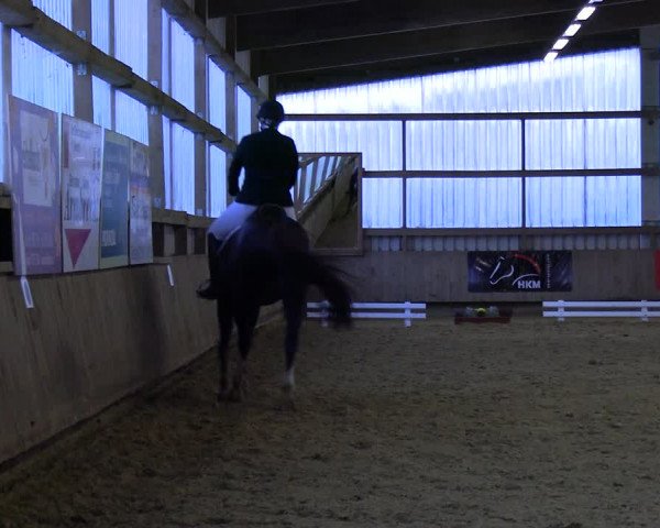 Reitturnier Werdohl-Rentrop 2023
