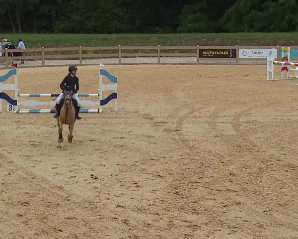 Reitturnier Tiefenhof/Opf. 2023