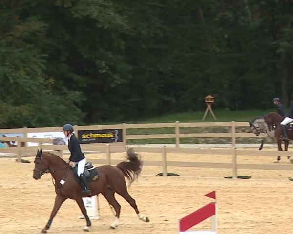 Reitturnier Tiefenhof/Opf. 2023