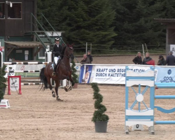 Reitturnier Ranshofen - Braunau am Inn 2023