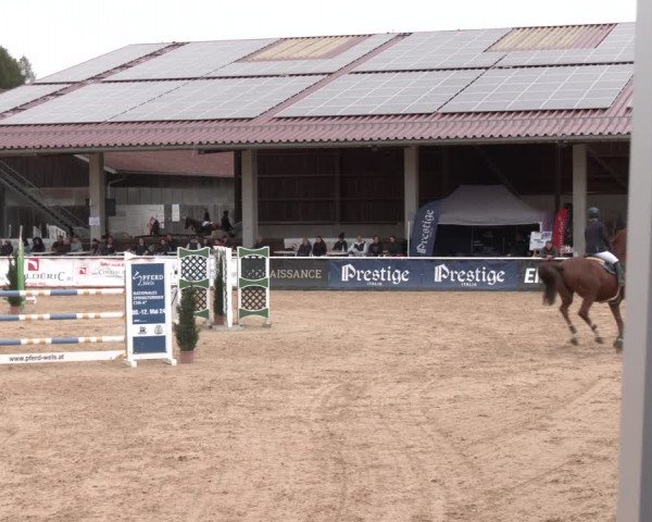Reitturnier Ranshofen - Braunau am Inn 2023