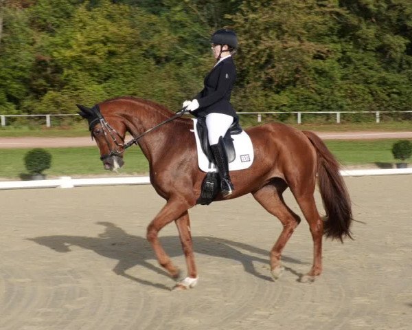 Reitturnier Heiligenwald 2023