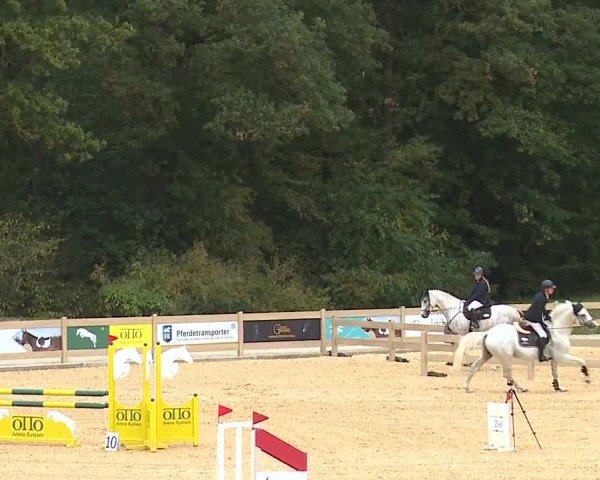 Reitturnier Tiefenhof/Opf. 2023