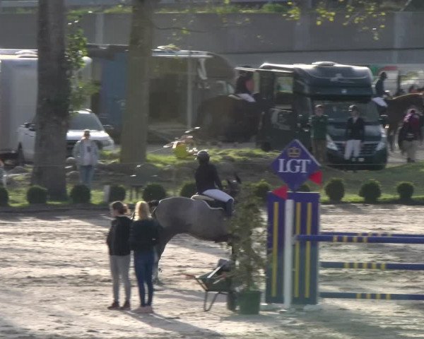 Reitturnier Basel 2023