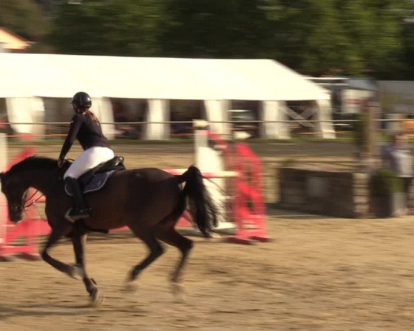 Reitturnier Heiligenwald 2023