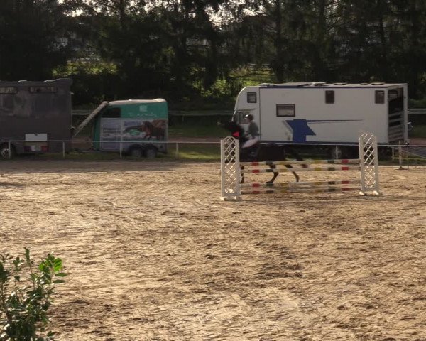 Reitturnier Heiligenwald 2023