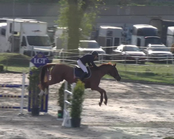 Reitturnier Basel 2023
