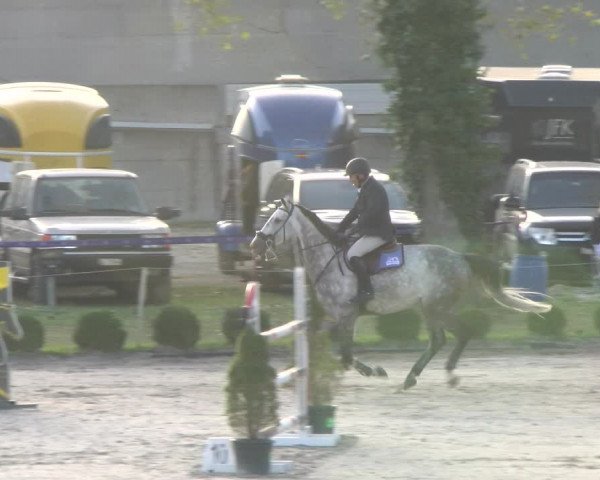 Reitturnier Basel 2023
