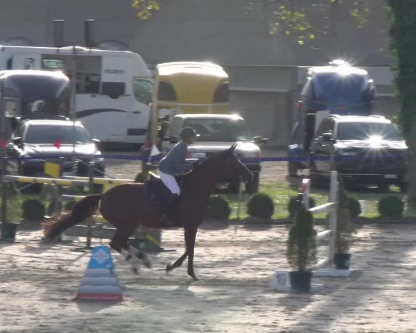 Reitturnier Basel 2023