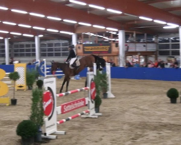 Reitturnier Isterberg 2023