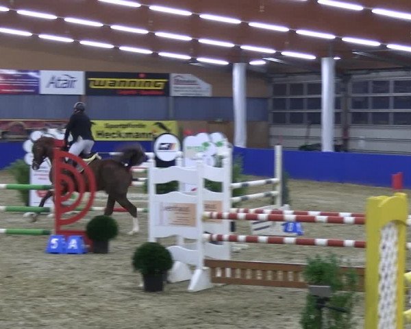 Reitturnier Isterberg 2023