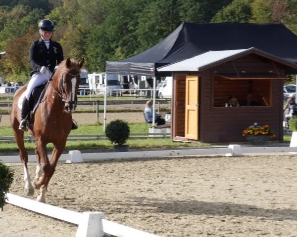 Reitturnier Heiligenwald 2023
