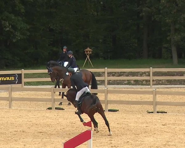Reitturnier Tiefenhof/Opf. 2023