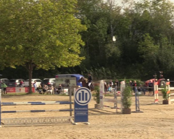 Reitturnier Heiligenwald 2023