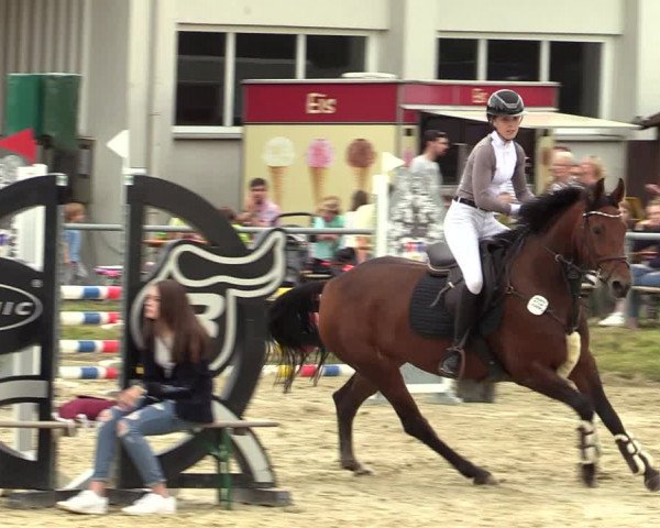 Reitturnier Dortmund-Barop 2021