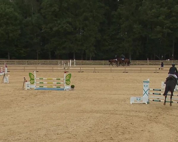 Reitturnier Tiefenhof/Opf. 2023