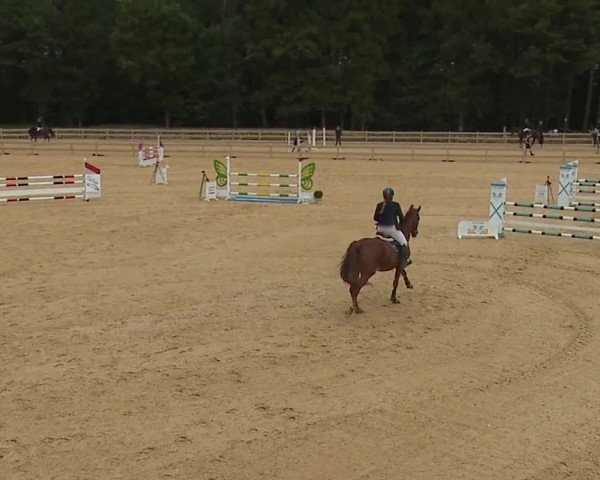 Reitturnier Tiefenhof/Opf. 2023