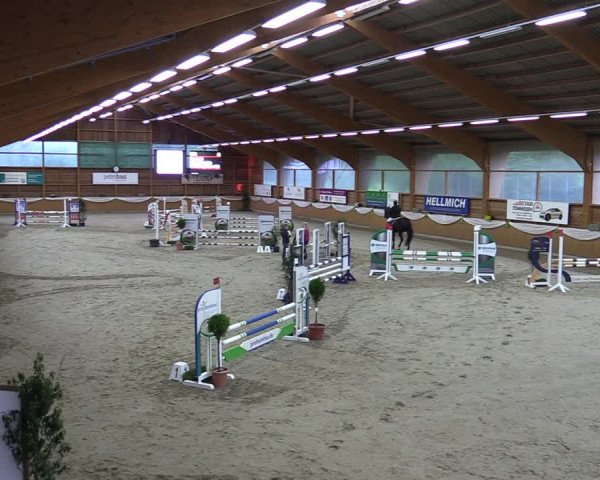 Reitturnier Xanten - Reitanlage Miss 2023