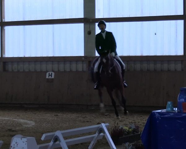 Reitturnier Werdohl-Rentrop 2023