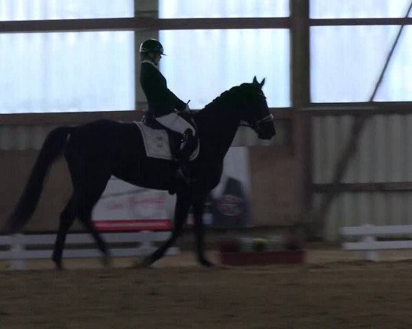 Reitturnier Werdohl-Rentrop 2023