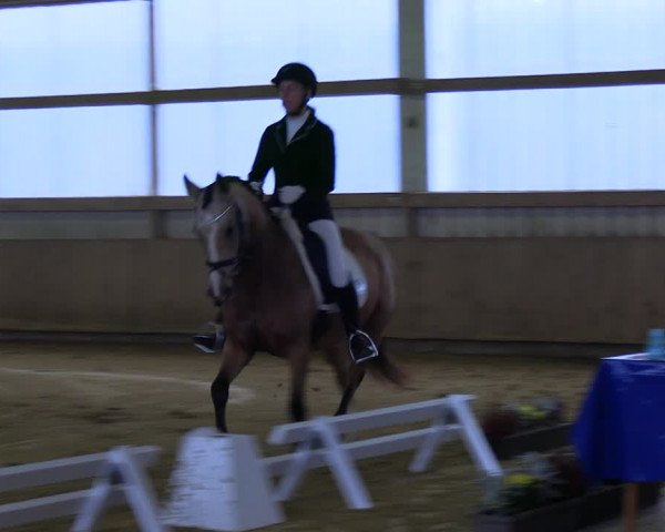 Reitturnier Werdohl-Rentrop 2023