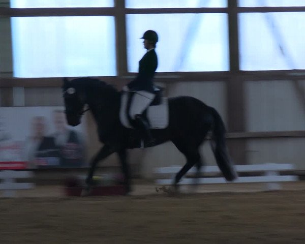 Reitturnier Werdohl-Rentrop 2023