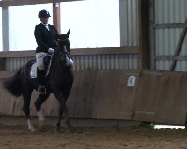 Reitturnier Werdohl-Rentrop 2023