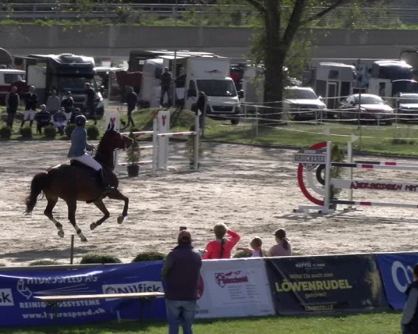 Reitturnier Basel 2023