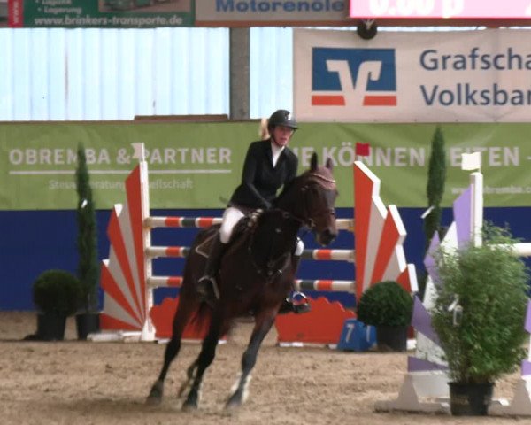 Reitturnier Isterberg 2023