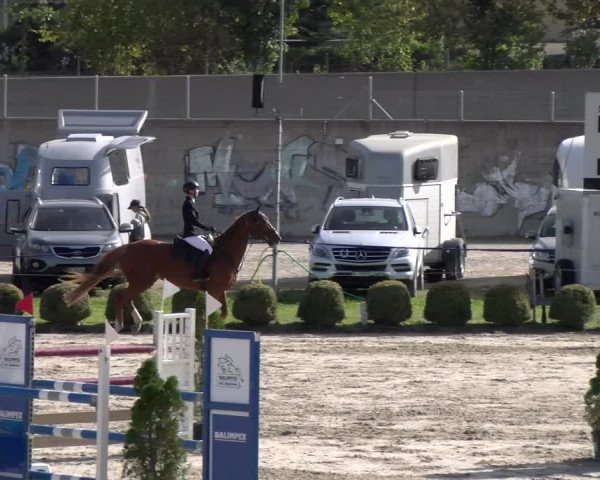 Reitturnier Basel 2023