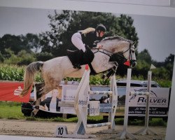 jumper Cornet Kann Das (Zangersheide riding horse, 2016, from Cornet Obolensky)