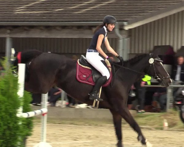 Reitturnier Dortmund-Barop 2021