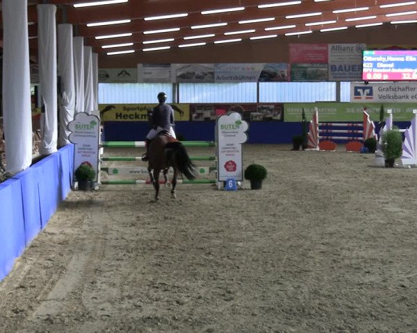 Reitturnier Isterberg 2023
