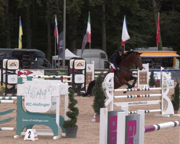 Reitturnier Ranshofen - Braunau am Inn 2023