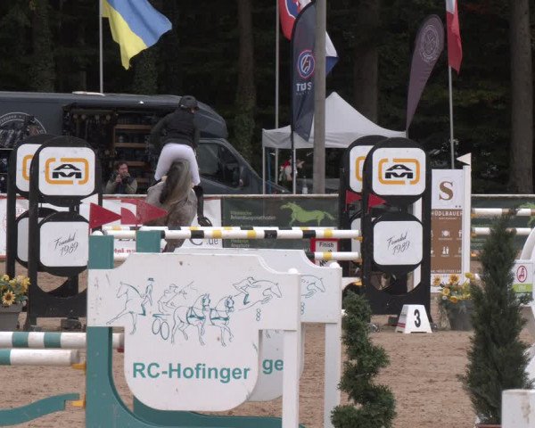 Reitturnier Ranshofen - Braunau am Inn 2023