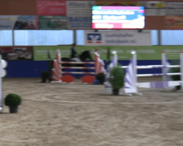 Reitturnier Isterberg 2023