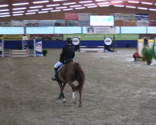 Reitturnier Isterberg 2023