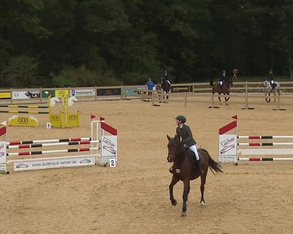 Reitturnier Tiefenhof/Opf. 2023