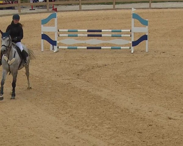 Reitturnier Tiefenhof/Opf. 2023